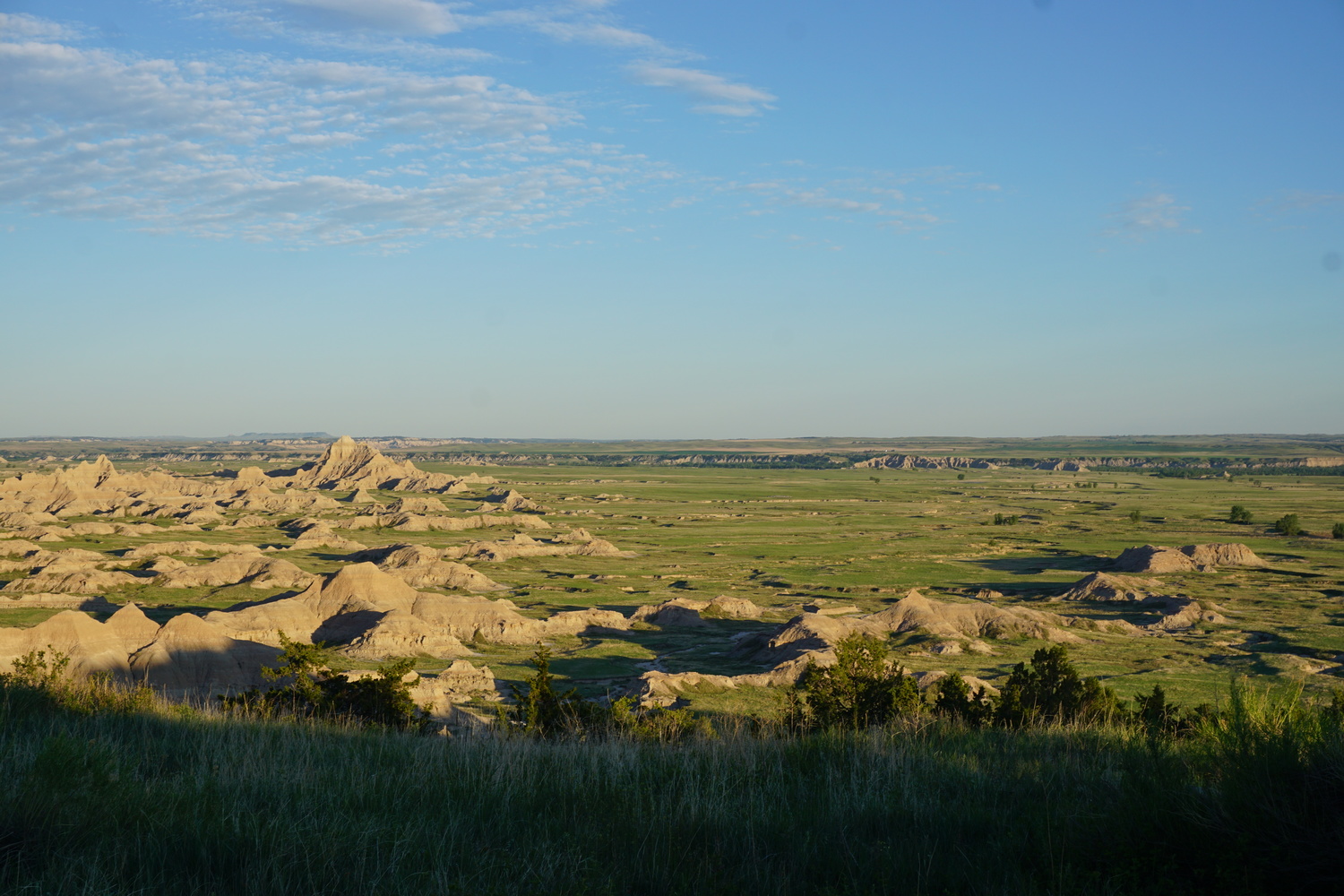 DSC04371 - CopyJPG