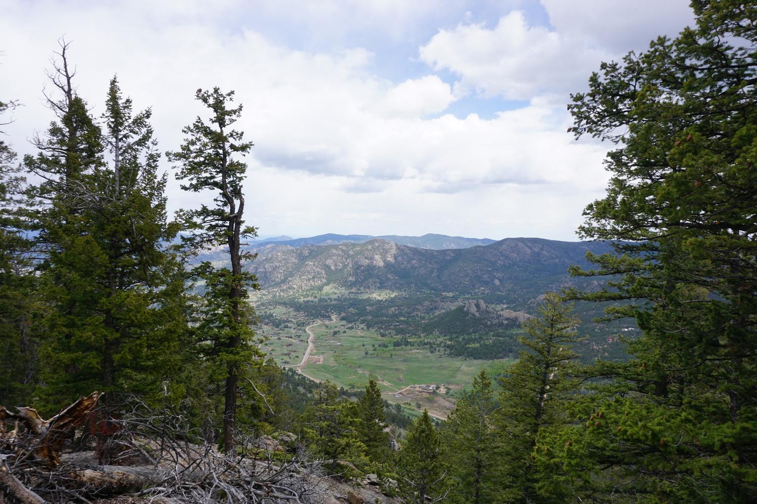 DSC04602 - CopyJPG