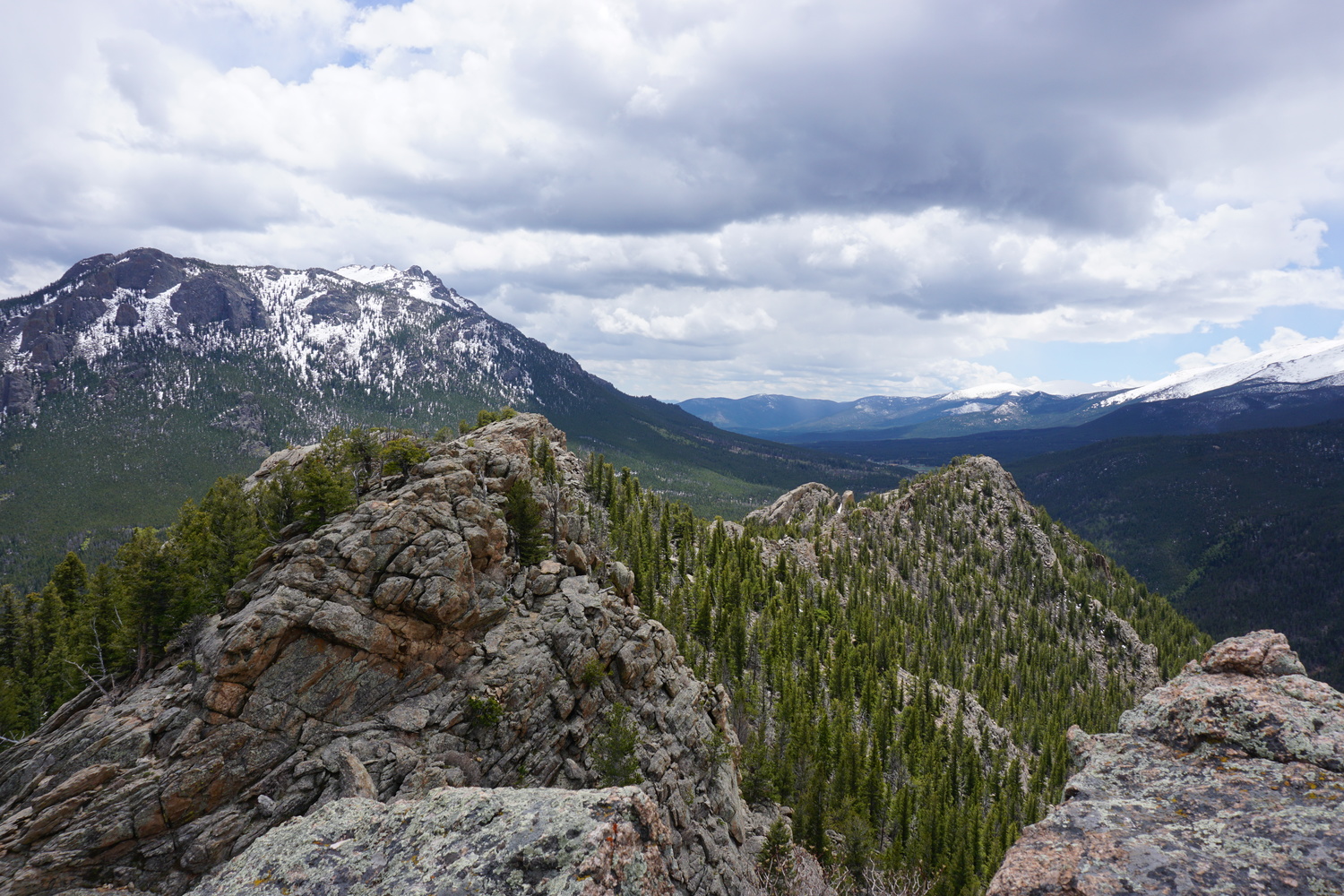 DSC04608 - CopyJPG