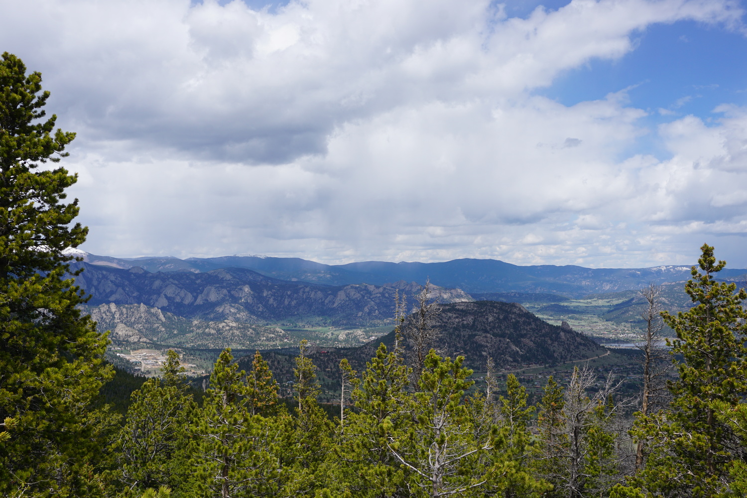 DSC04622 - CopyJPG