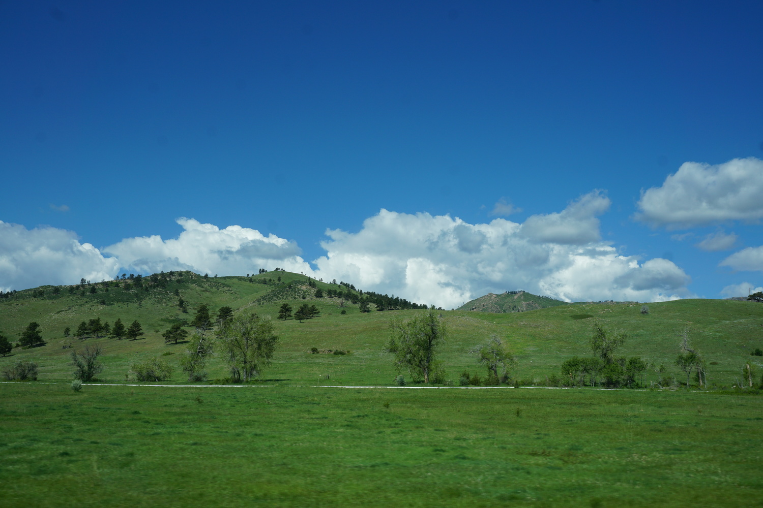 DSC04644JPG