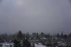 DSC04557JPG