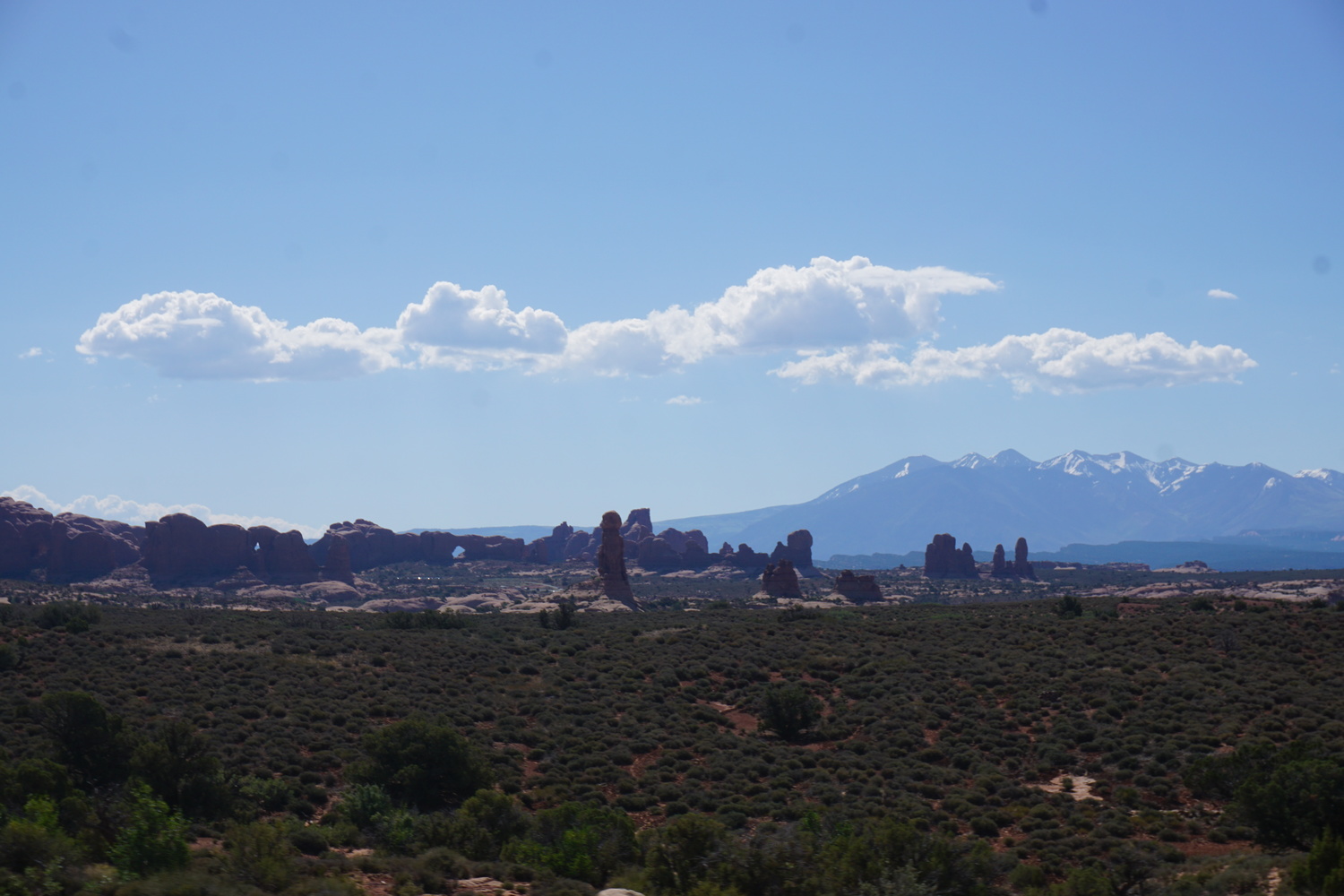 DSC04786JPG