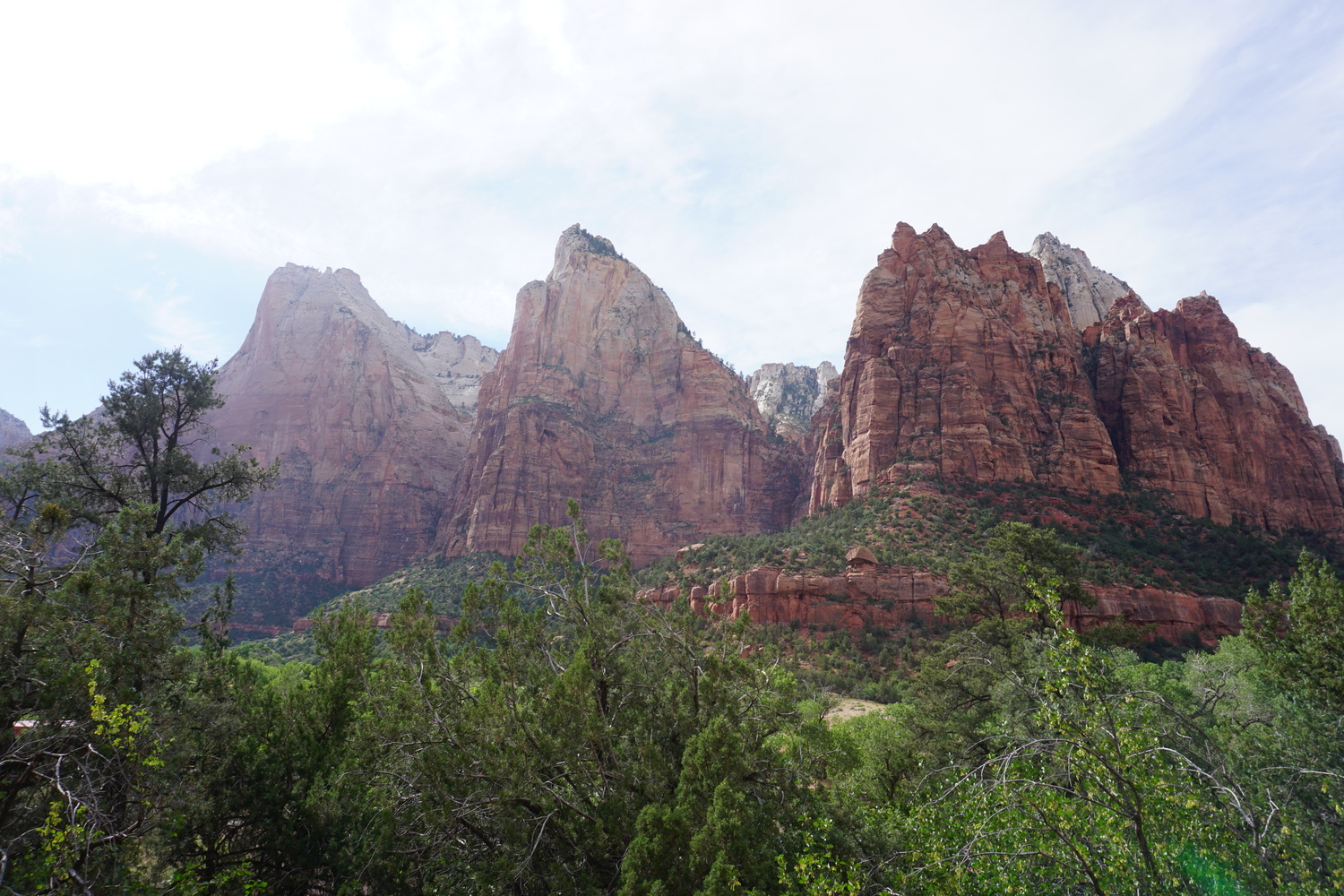 DSC05192 - CopyJPG