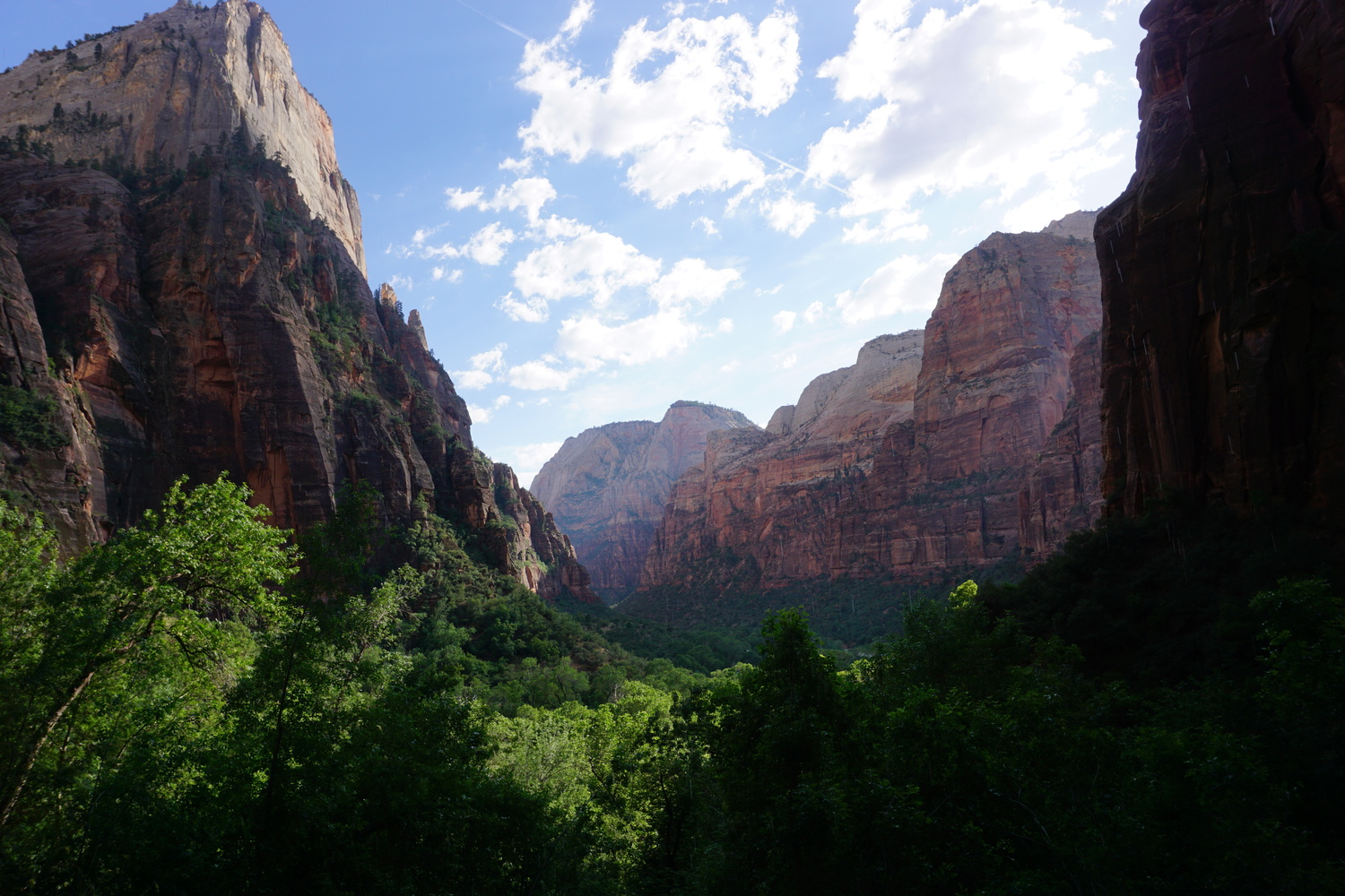 DSC05199 - CopyJPG