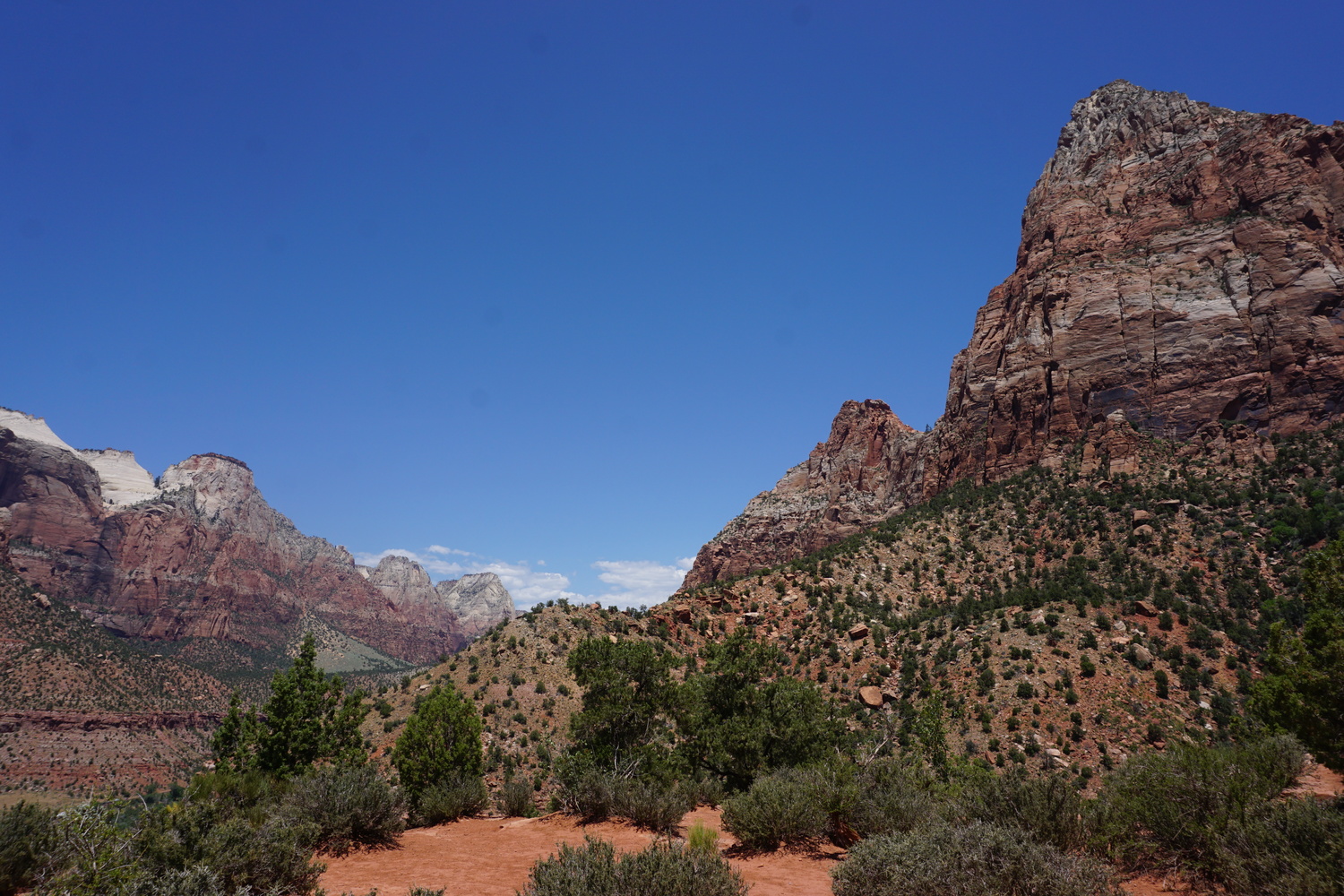 DSC05272 - CopyJPG