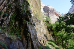 DSC05208 - CopyJPG
