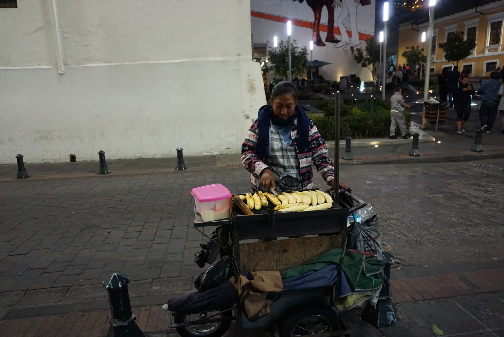 DSC06241
