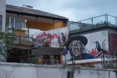 DSC06210