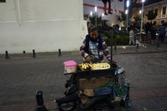 DSC06241