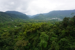 DSC06549