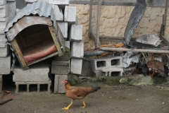 DSC06845