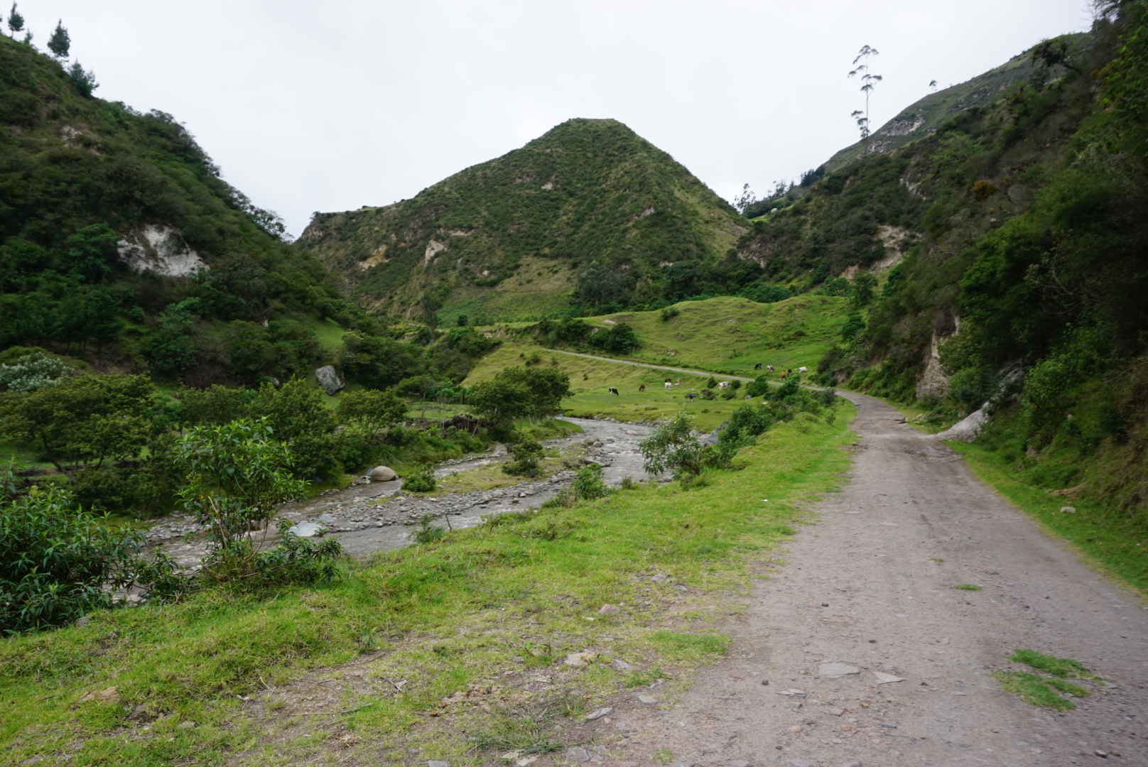 DSC07267