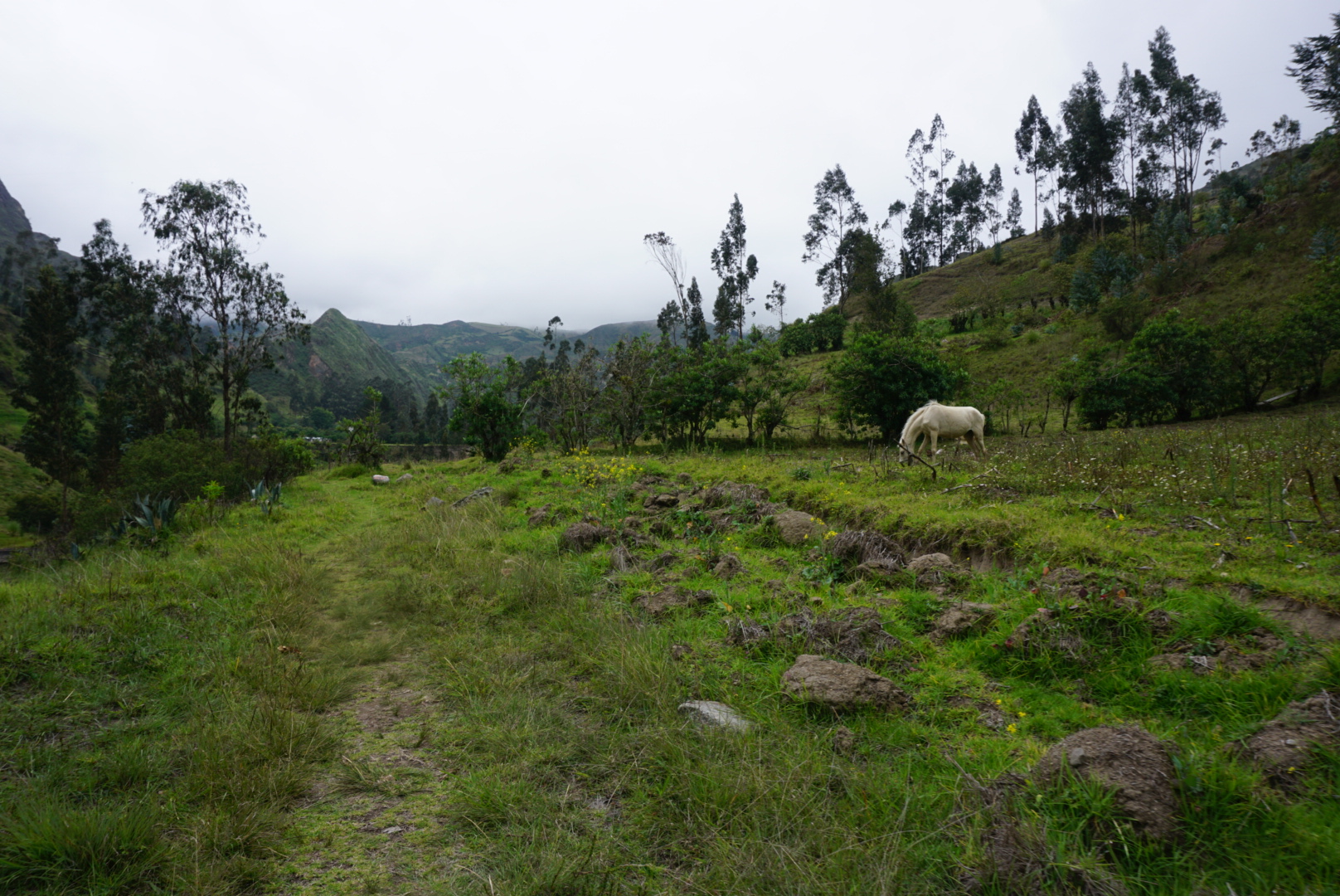 DSC07296
