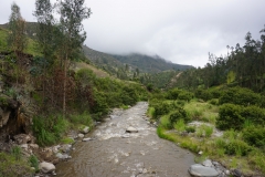 DSC07300