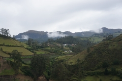 DSC07336