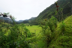 DSC07366