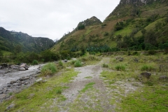 DSC07421