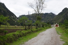 DSC07445