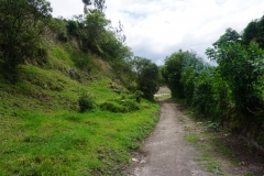 DSC07480