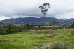 DSC07503
