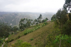 DSC07529